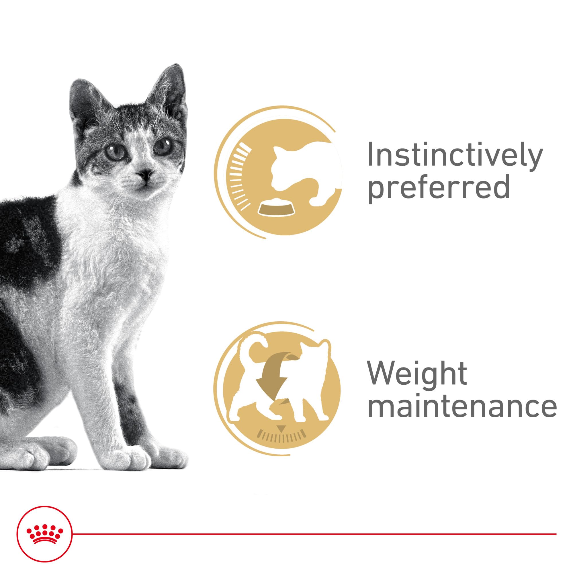 ROYAL CANIN textura de filetes finos cerca que resalta palatabilidad y suavidad
