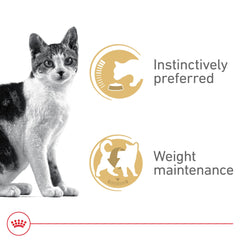 ROYAL CANIN textura de filetes finos cerca que resalta palatabilidad y suavidad