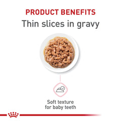 ROYAL CANIN textura cercana trocitos tiernos fáciles de masticar