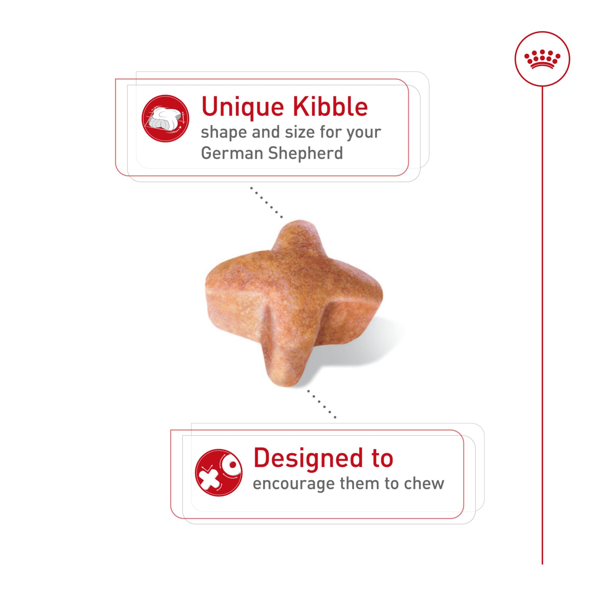 ROYAL CANIN primer plano de textura de croqueta para fácil masticación