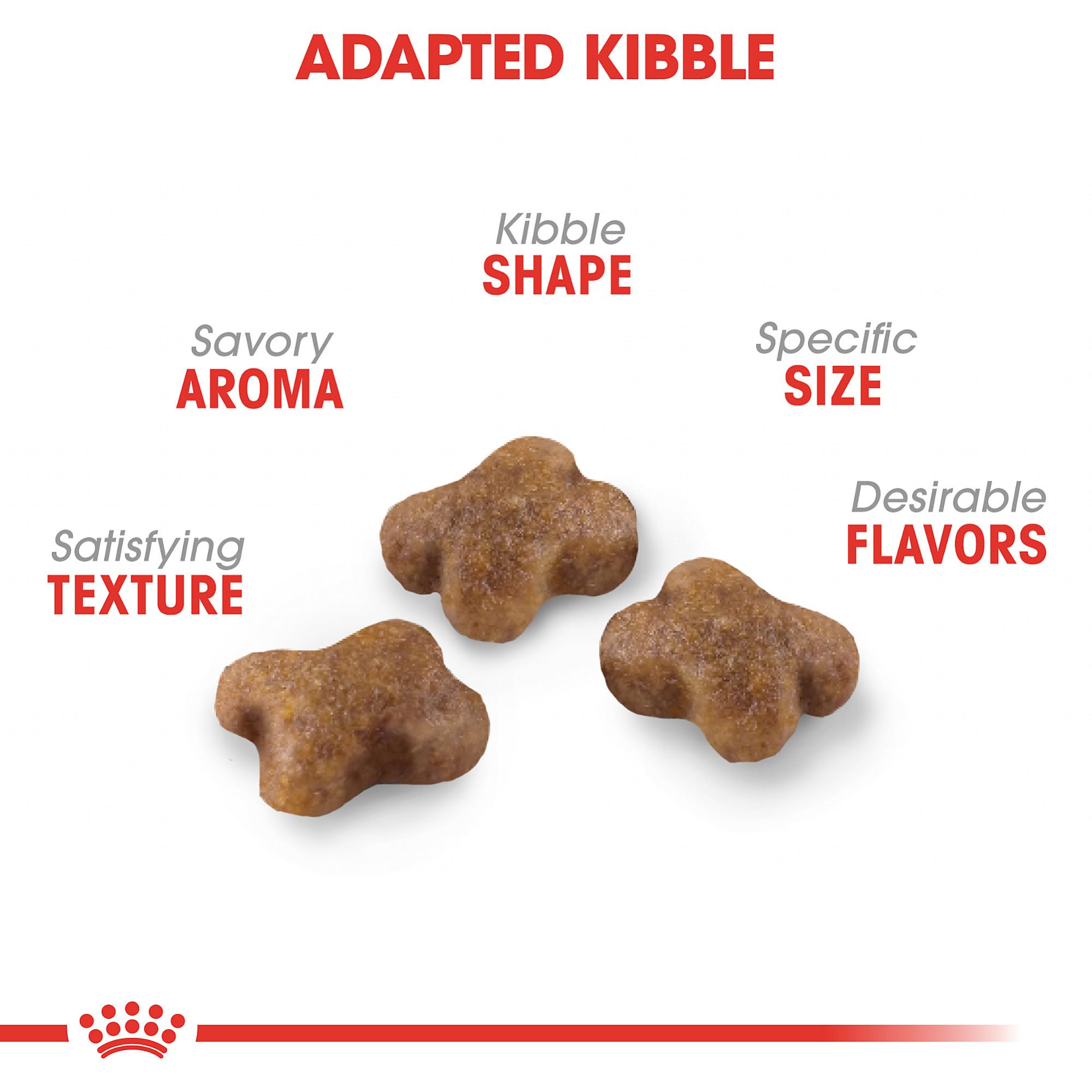 Royal Canin textura de croqueta ilustrando tamaño fácil de masticar para gatitos