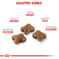 Royal Canin textura de croqueta ilustrando tamaño fácil de masticar para gatitos
