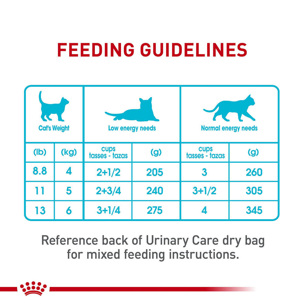 Royal Canin gato comiendo lata en salsa, favorece aceptación y disfrute