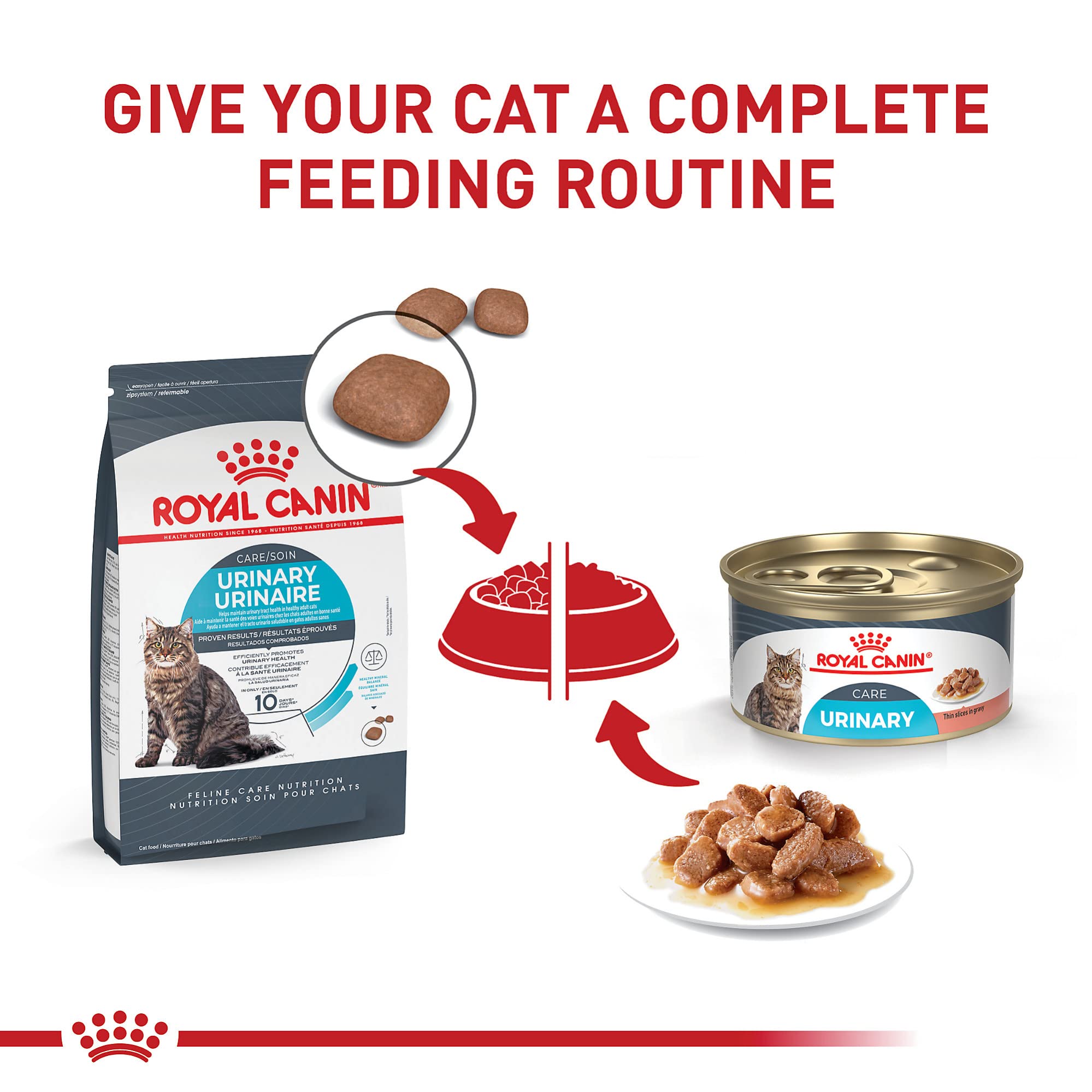 Royal Canin porción servida en plato para controlar raciones y apetito