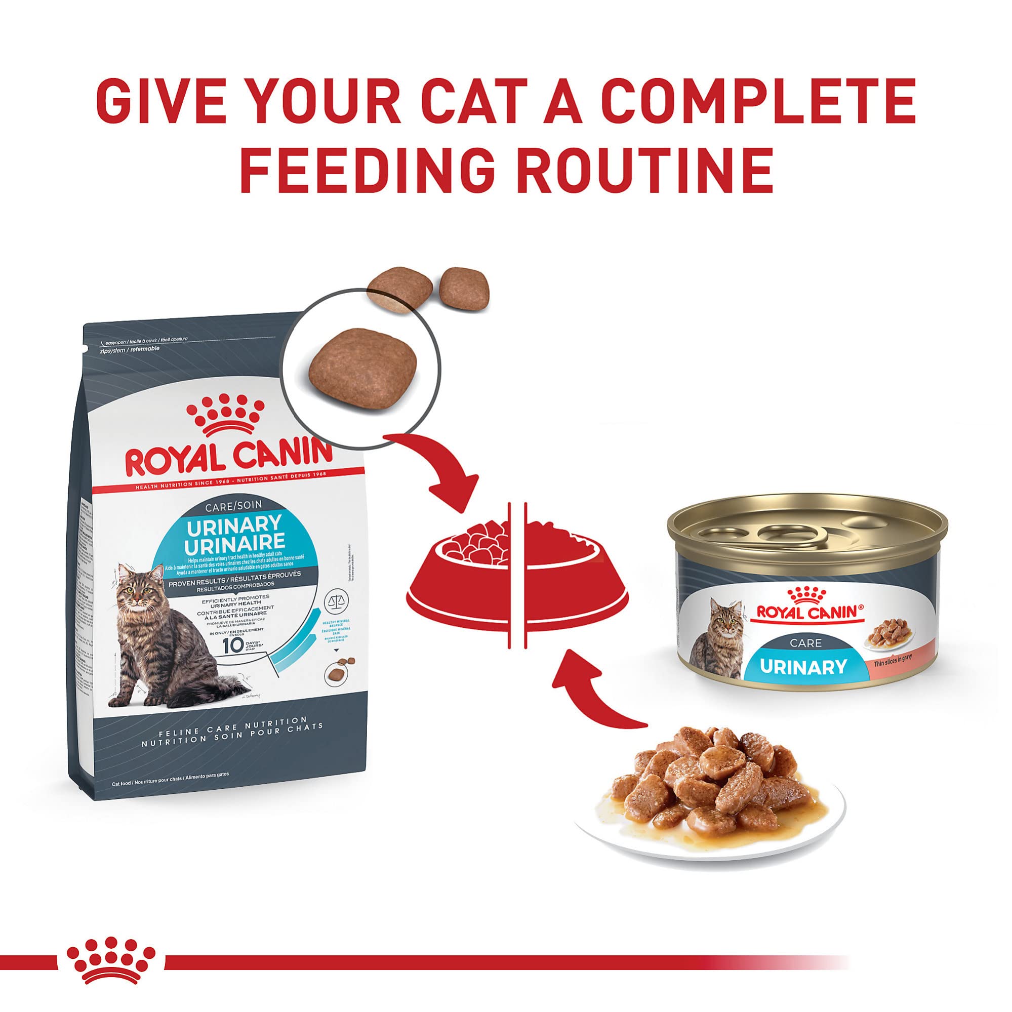 ROYAL CANIN croquetas en plato listas para servir, facilitan aceptación