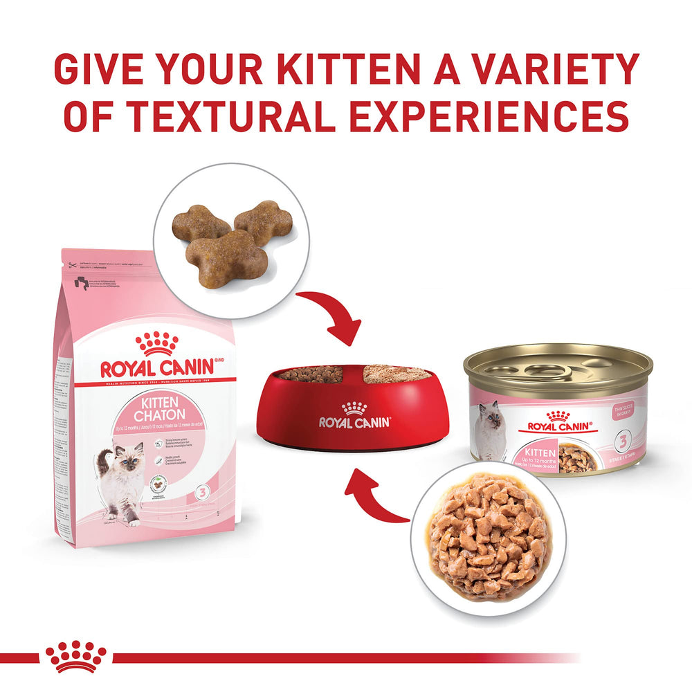 ROYAL CANIN alimento en comedero que facilita la transición al sólido