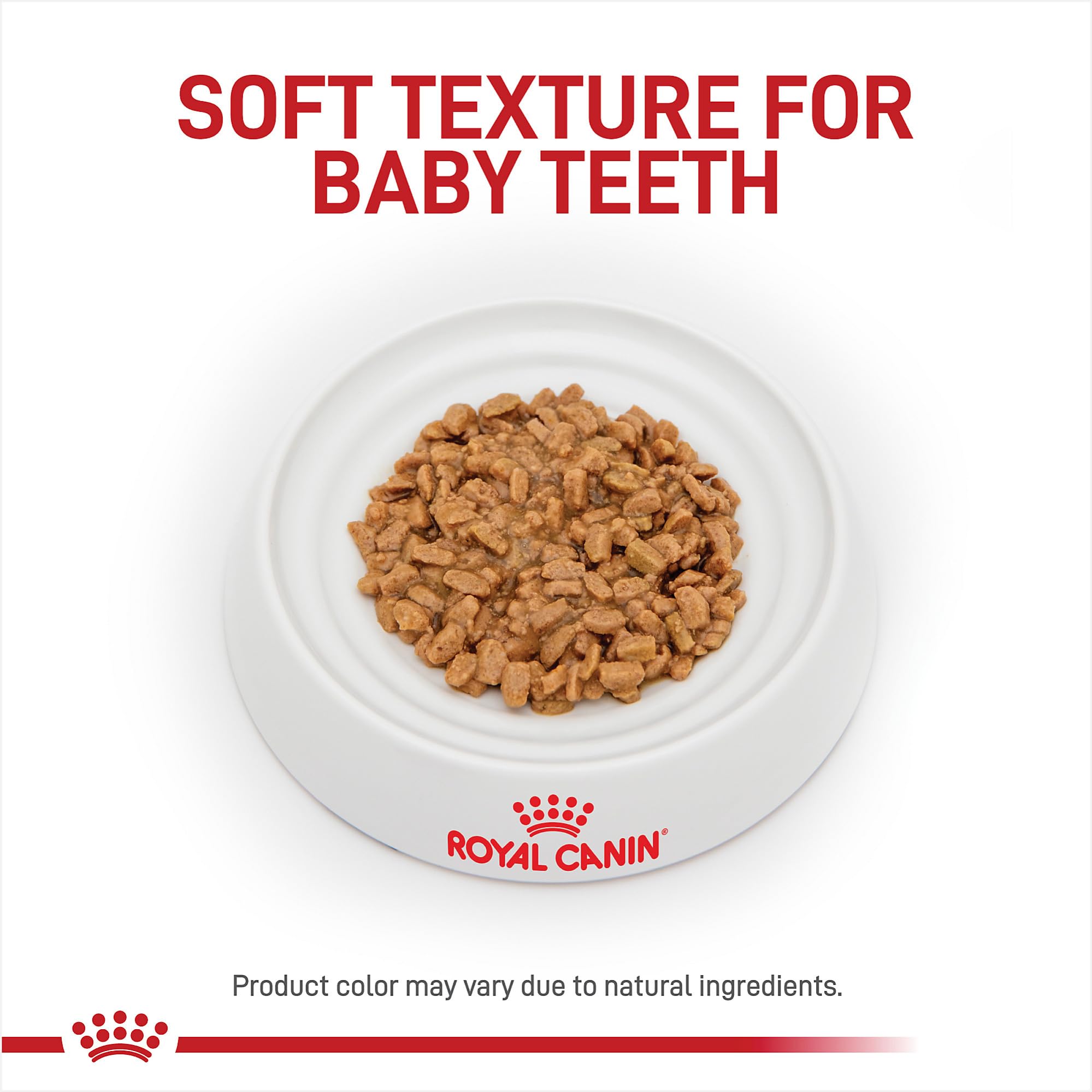 Royal Canin cachorro comiendo lata, favorece aceptación y comienzo nutricional sano