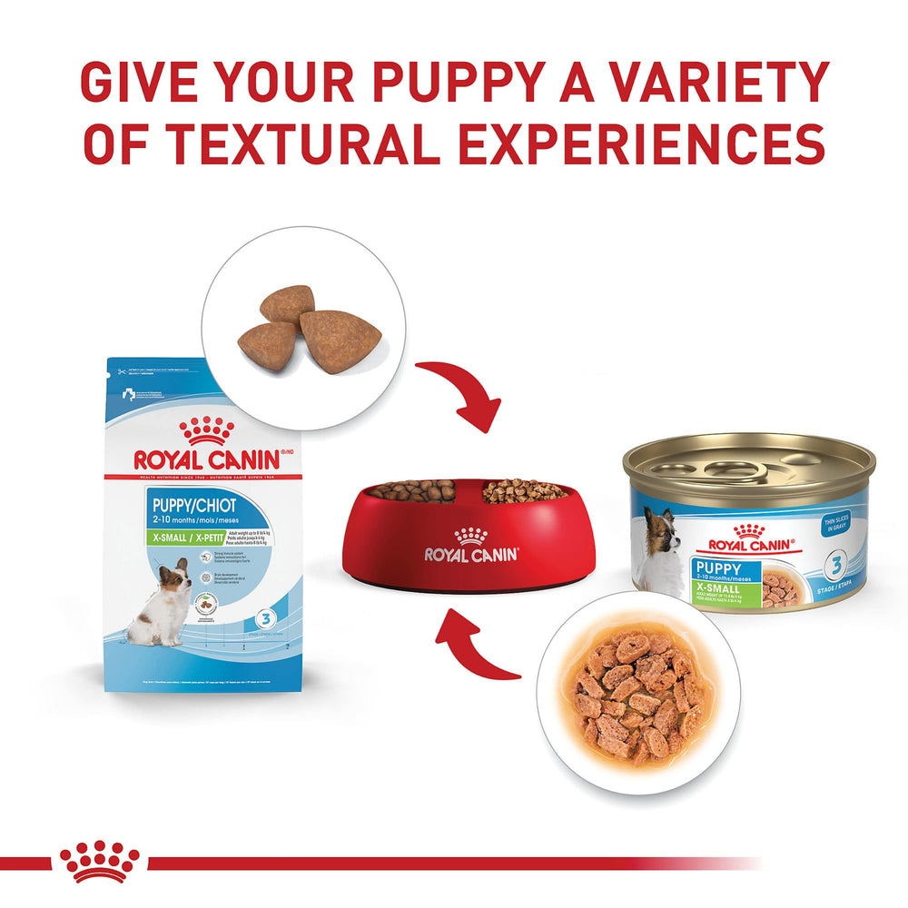 Royal Canin lata en mano para comparar tamaño y porción para razas muy pequeñas