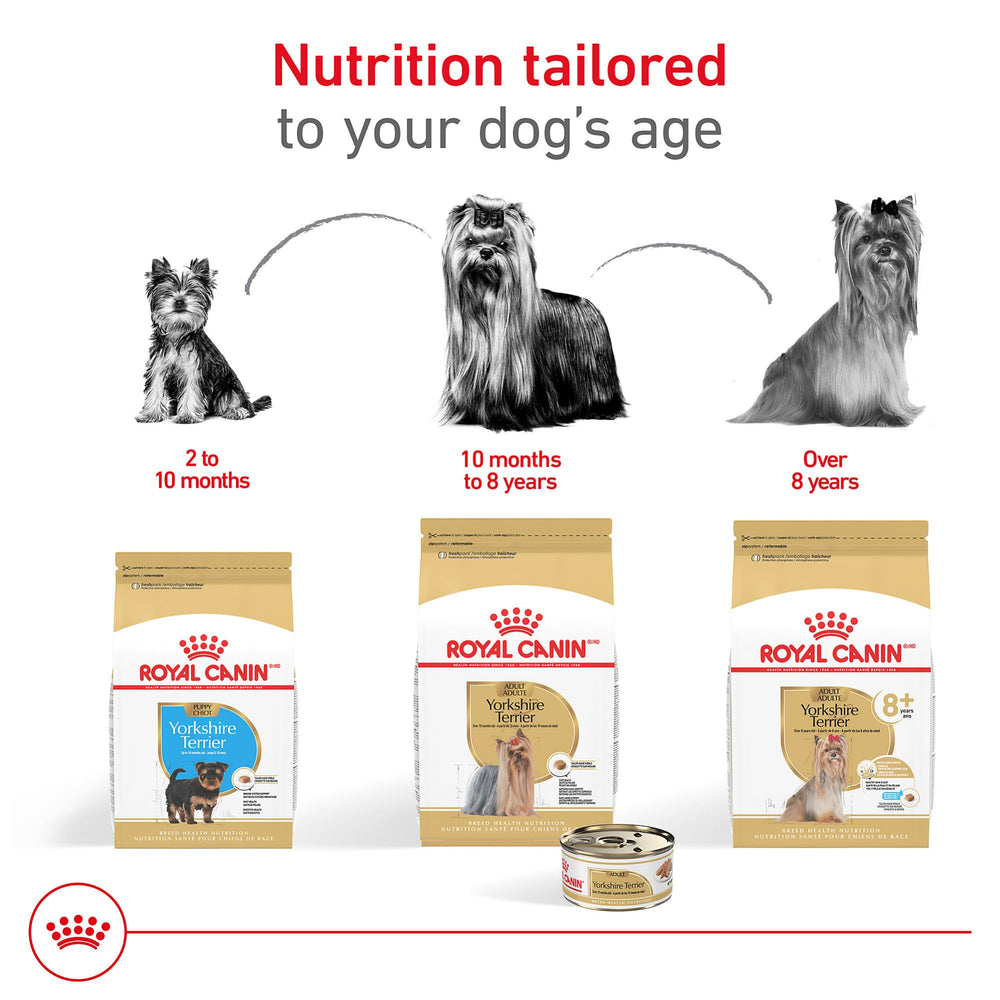 ROYAL CANIN comparación de croquetas y paté para combinar texturas y sabores
