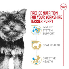 ROYAL CANIN textura de croqueta en mano que facilita toma y mordida