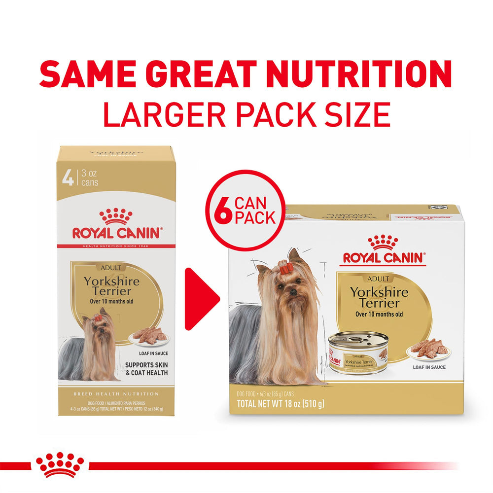 ROYAL CANIN detalle de textura del paté que muestra suavidad y atractivo al paladar