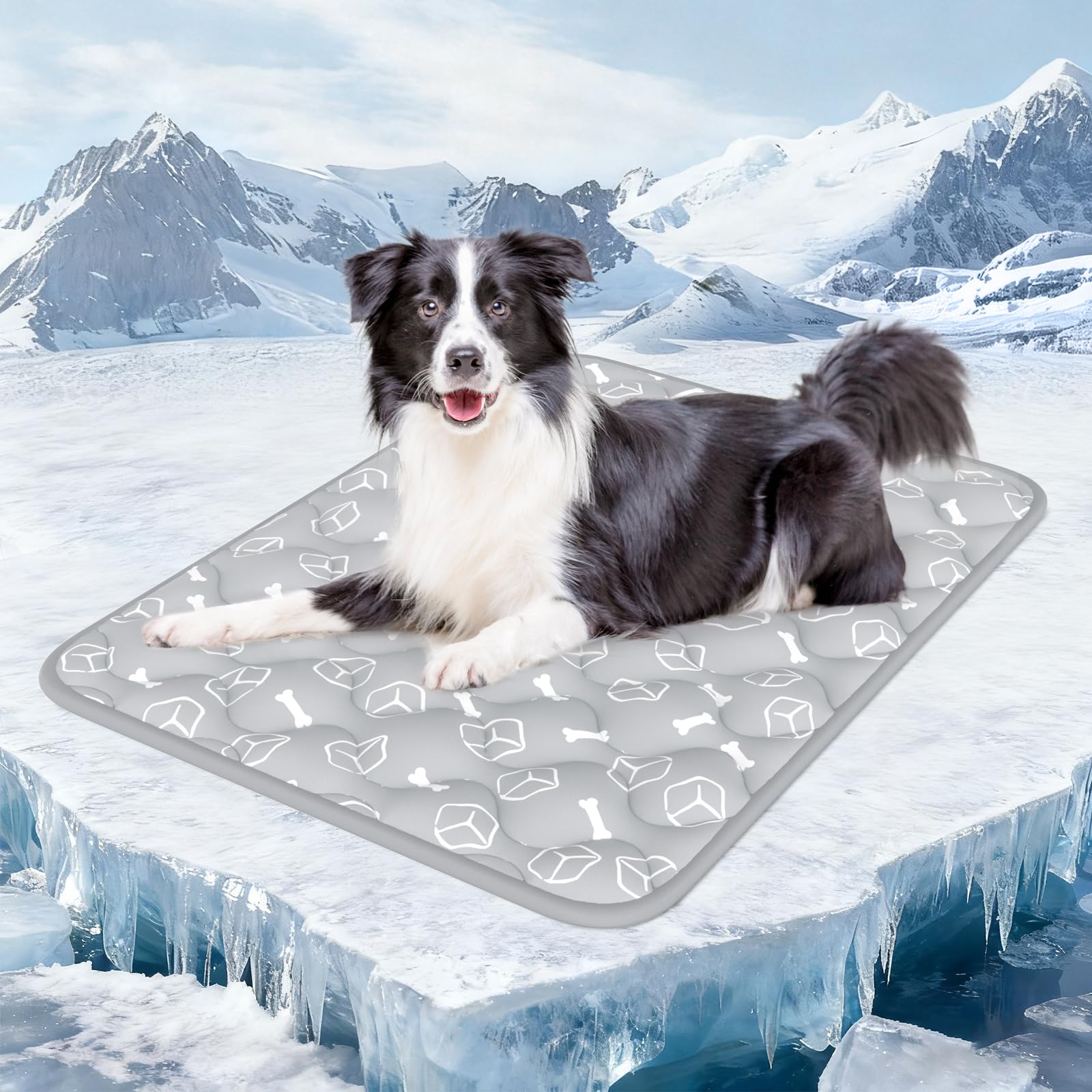 Rywell alfombra frontal gris mostrando diseño elegante y frescor