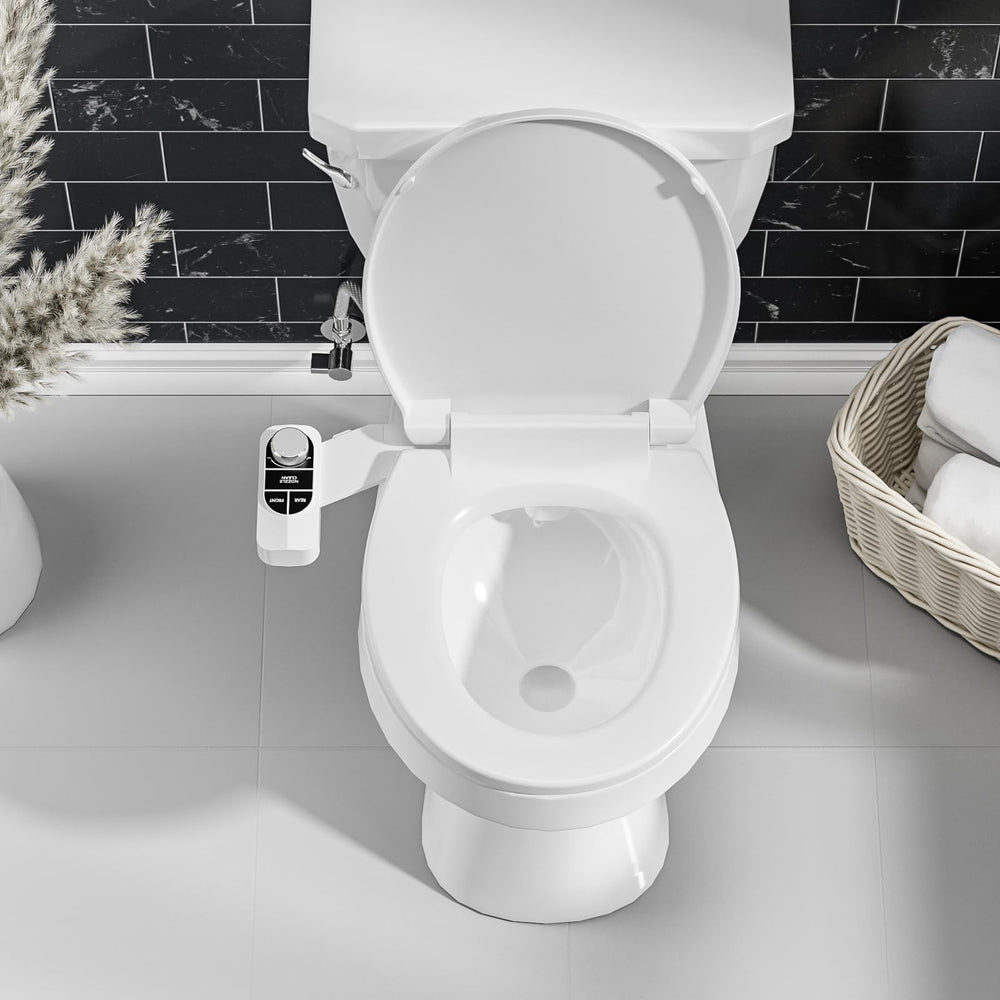 SAMODRA comparación de tamaño junto a una taza para visualizar escala