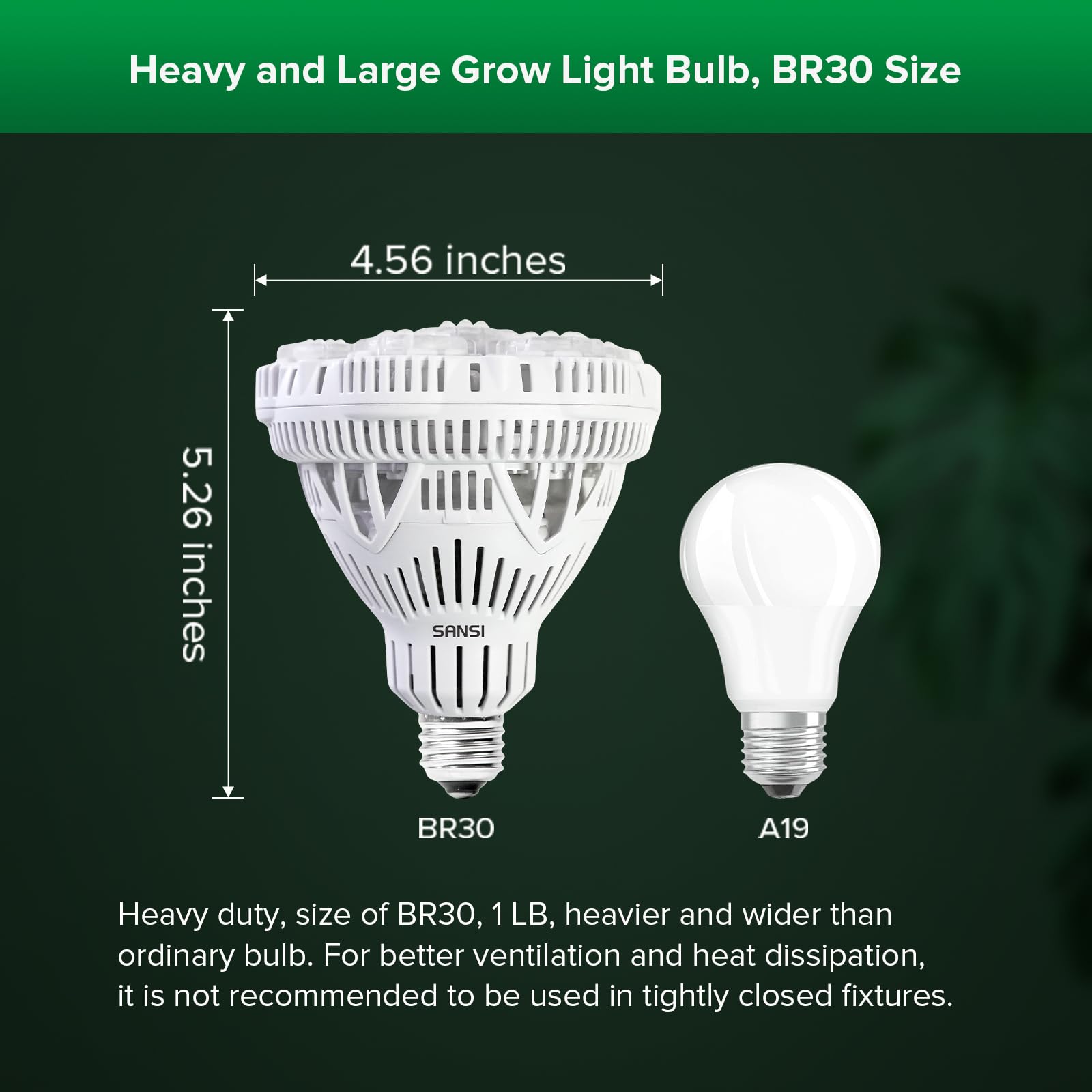 SANSI lamp near foliage showing low heat output protecting plants