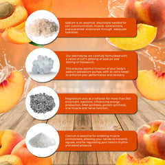 Santa Cruz Paleo etiqueta con lista de ingredientes y beneficios claros