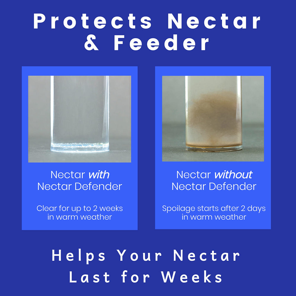 Sapphire Labs comparación de tamaño con mano, ideal para almacenaje práctico