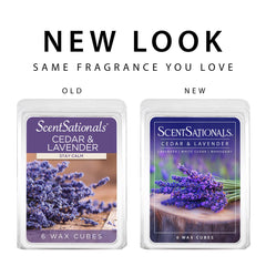 Scentsationals cubo en mano para comparar tamaño y dosificación fácil