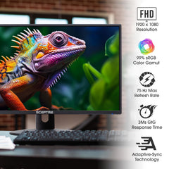 Sceptre conexiones HDMI y VGA versatilidad para múltiples dispositivos