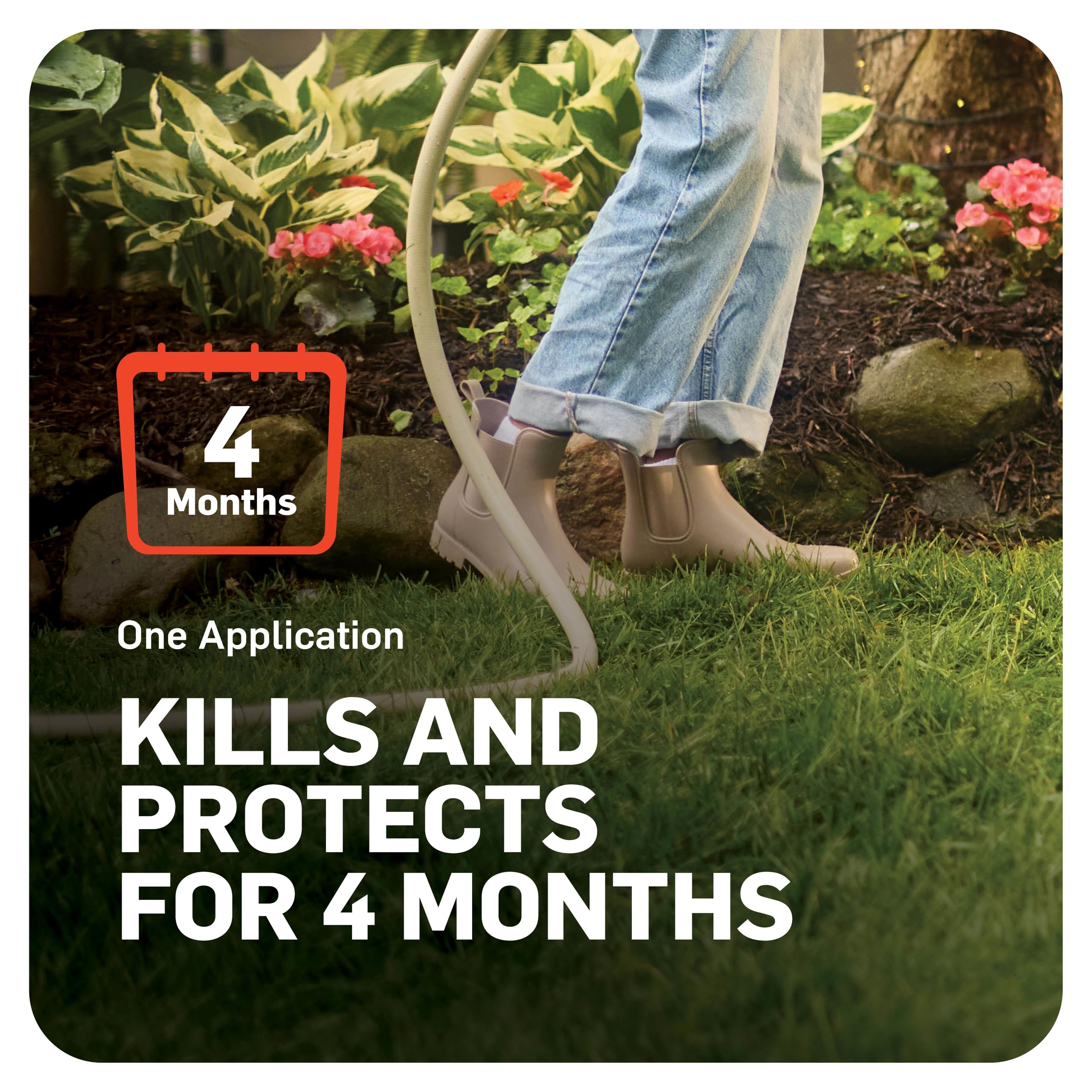vibrant treated lawn after using Scotts to prevent grub damage