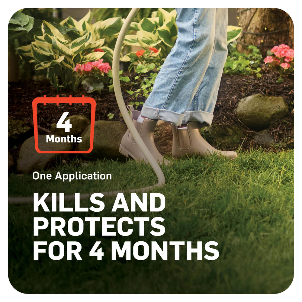 vibrant treated lawn after using Scotts to prevent grub damage