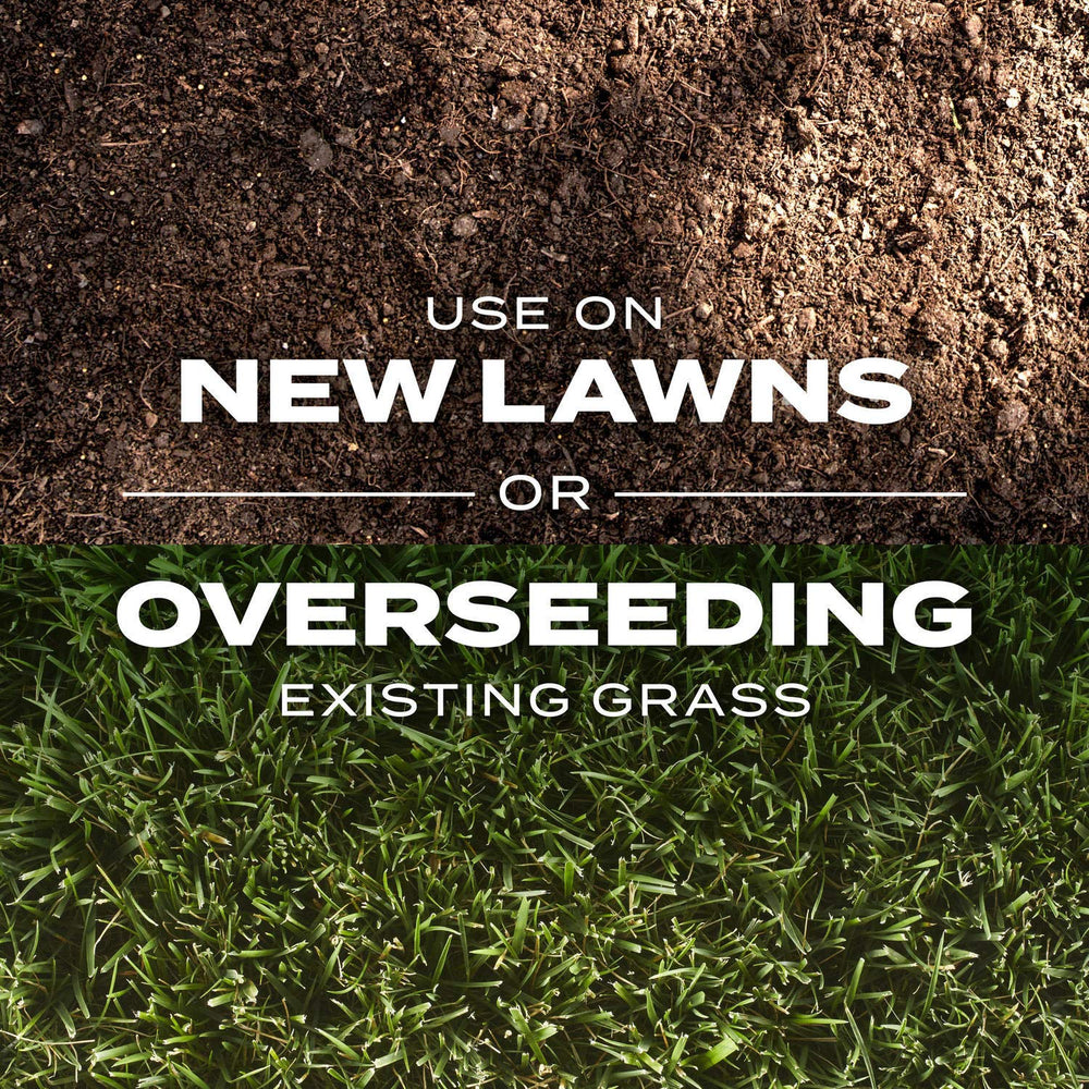 Scotts before and after lawn patch demonstrating thicker, greener turf