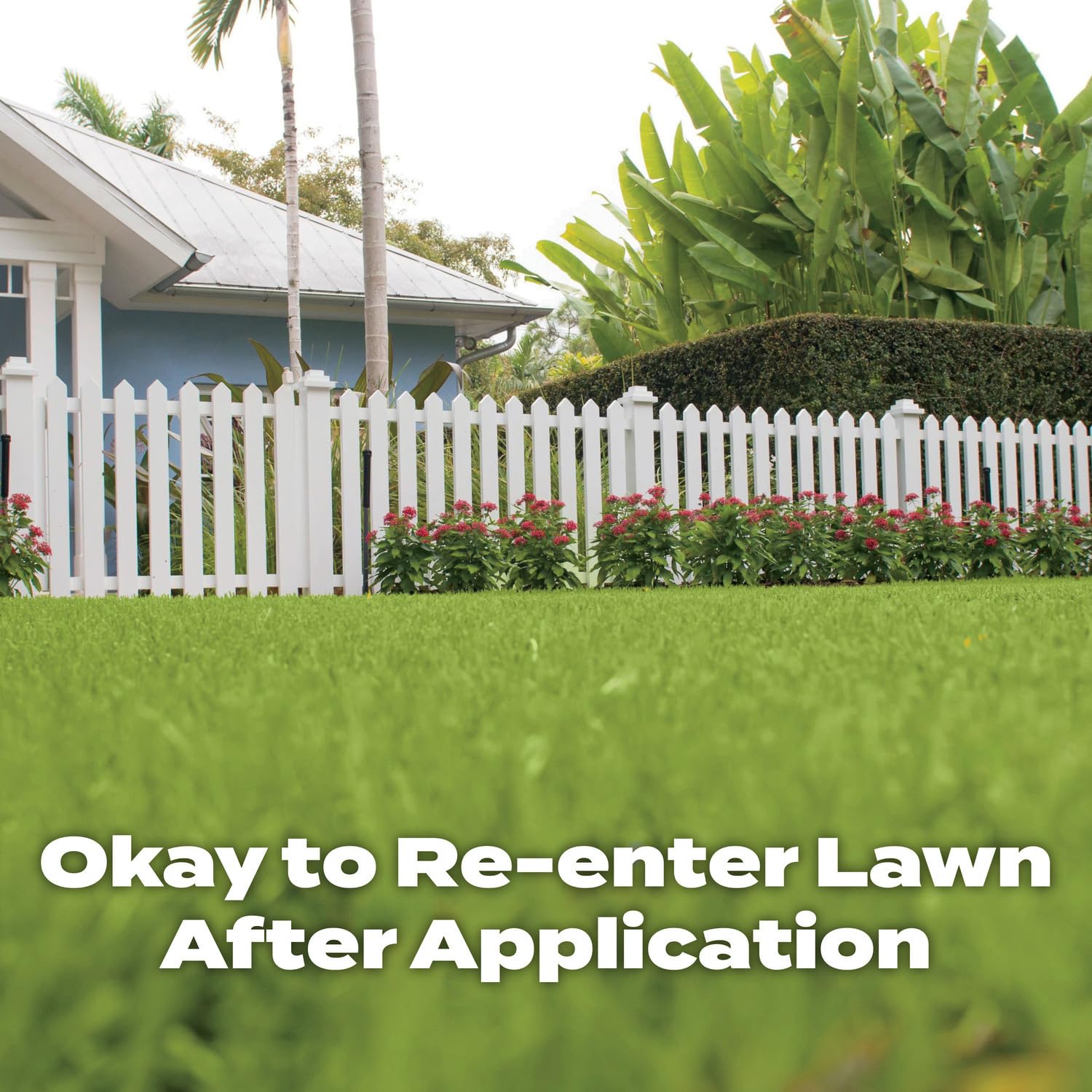 Scotts family and pet on lawn demonstrating safe yard use