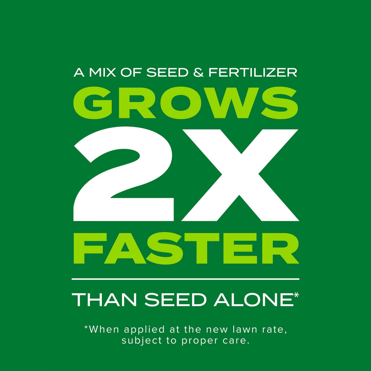 Scotts tall fescue seed texture detail highlighting germination-ready seed