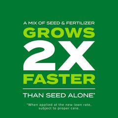 Scotts tall fescue seed texture detail highlighting germination-ready seed