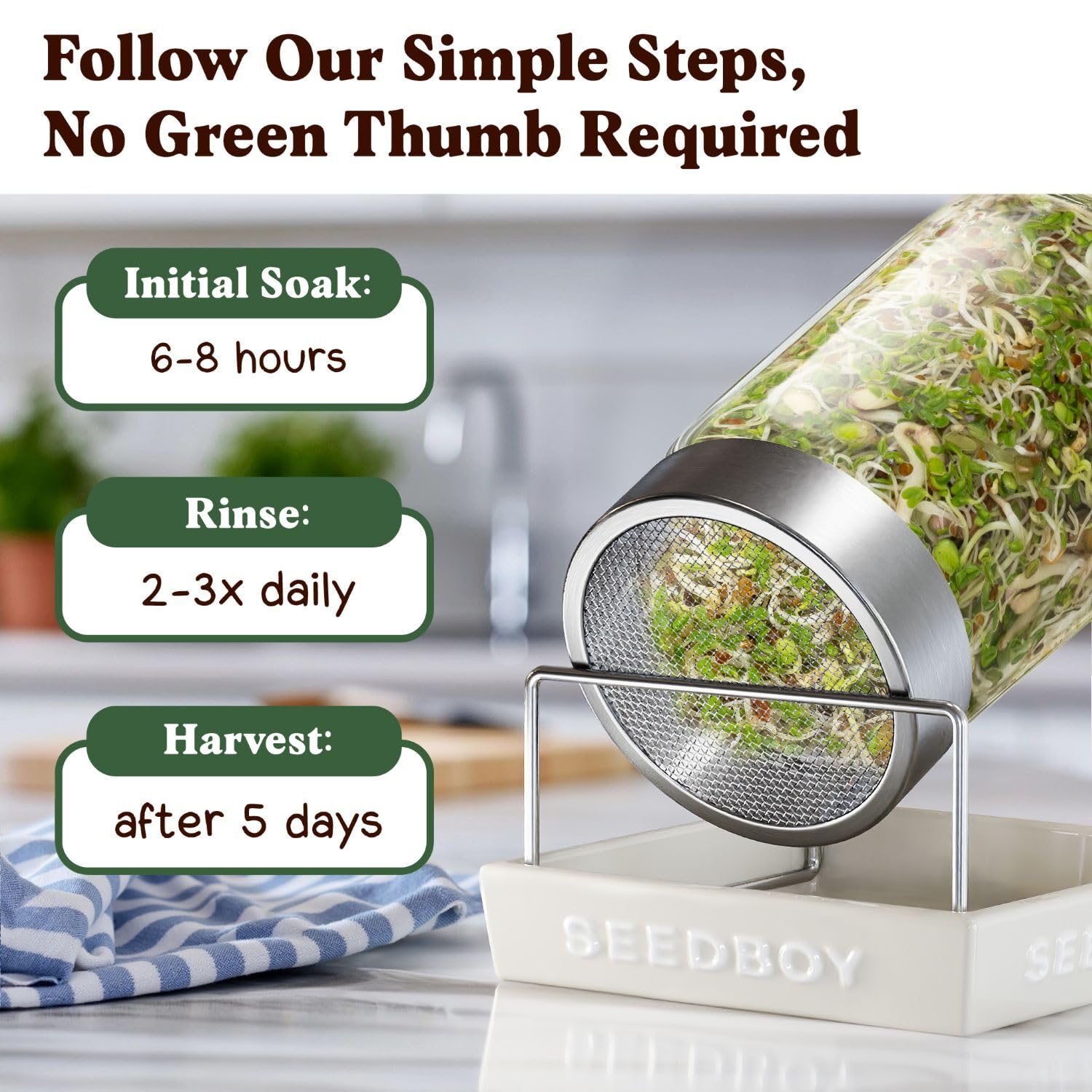 Seedboy microgreens cercanos resaltando hoja tierna y crunch