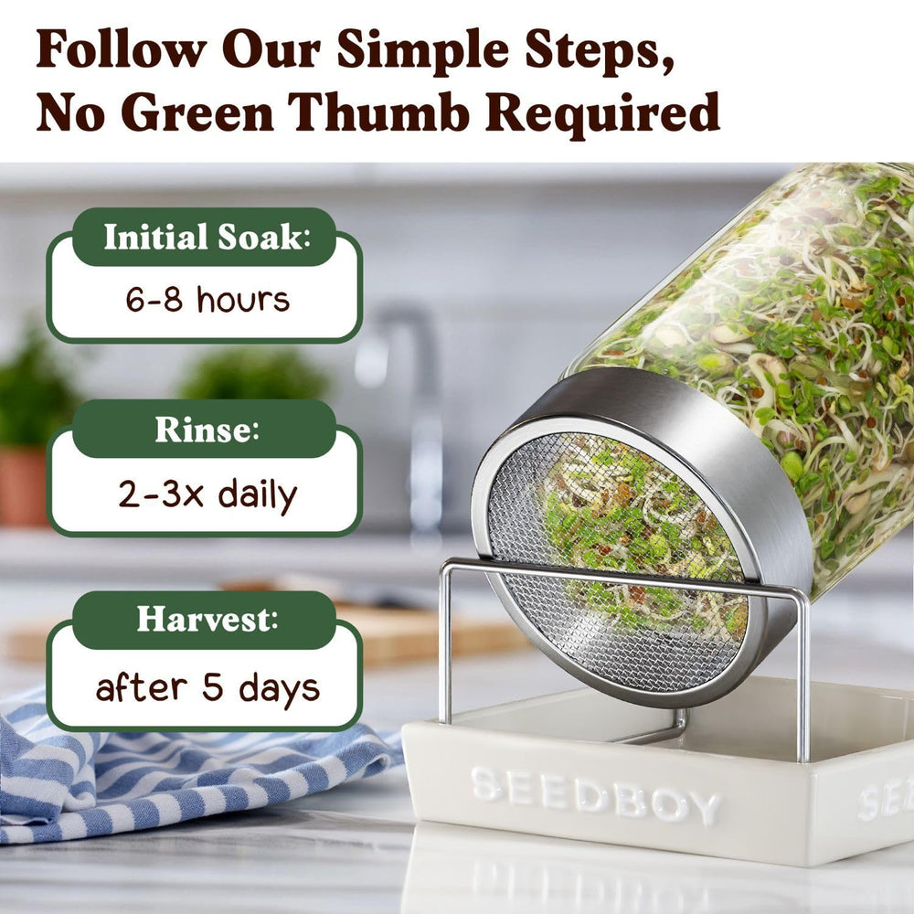 Seedboy microgreens cercanos resaltando hoja tierna y crunch