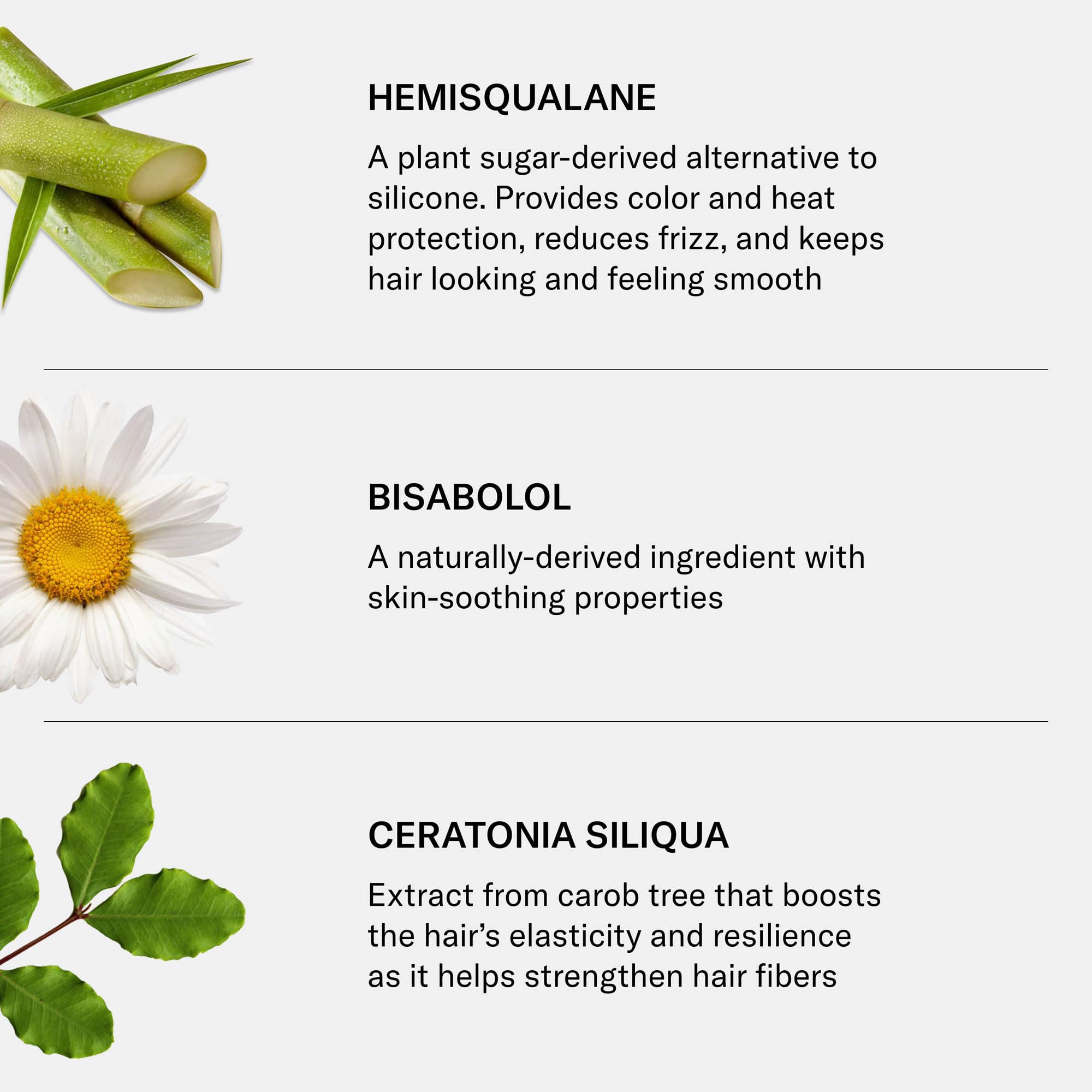 SEEN Blow-Out Creme etiqueta con ingredientes activos y beneficios protectores