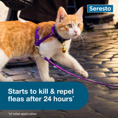 Seresto collar colocado en gato, uso diario y movimiento libre