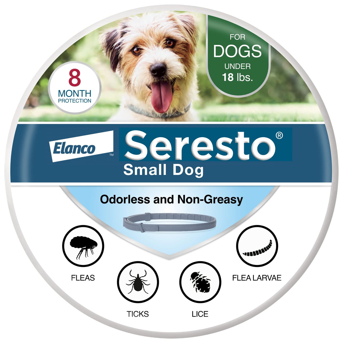 Seresto collar envasado frontal mostrando la caja y protección prolongada