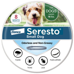 Seresto collar envasado frontal mostrando la caja y protección prolongada