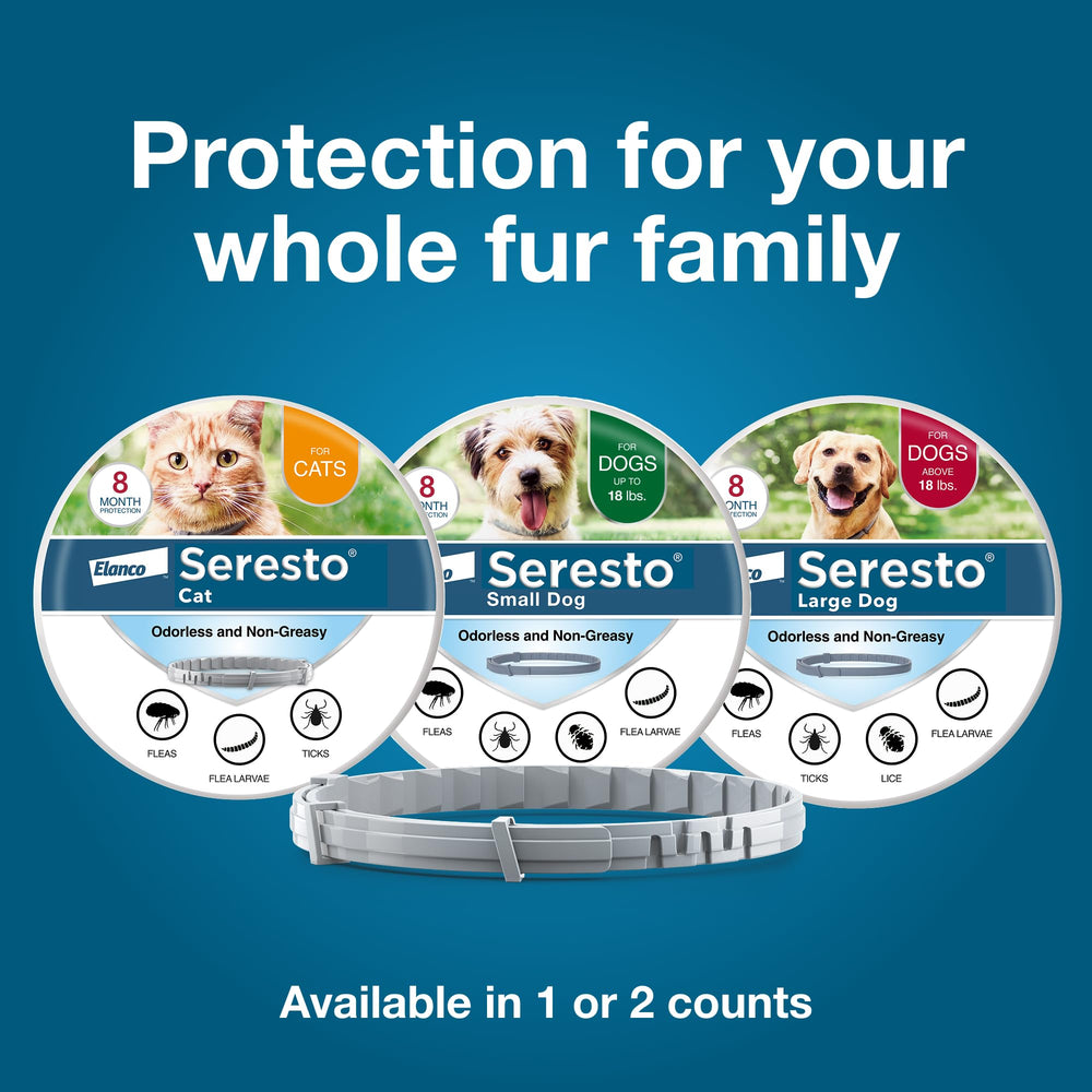 Familia paseando perro con collar Seresto subrayando protección de larga duración
