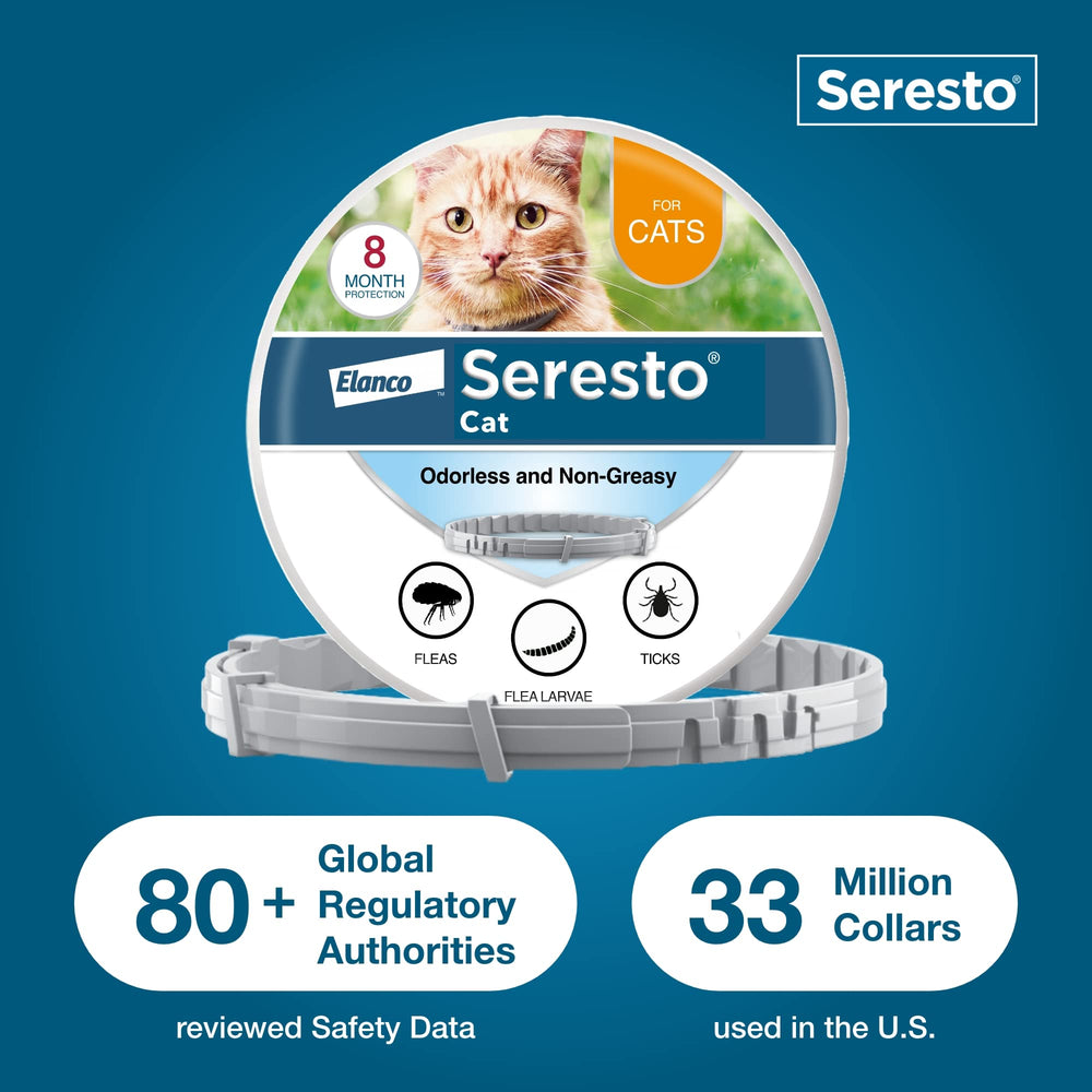 Seresto collar mojado demostrando resistencia al agua y mantenimiento
