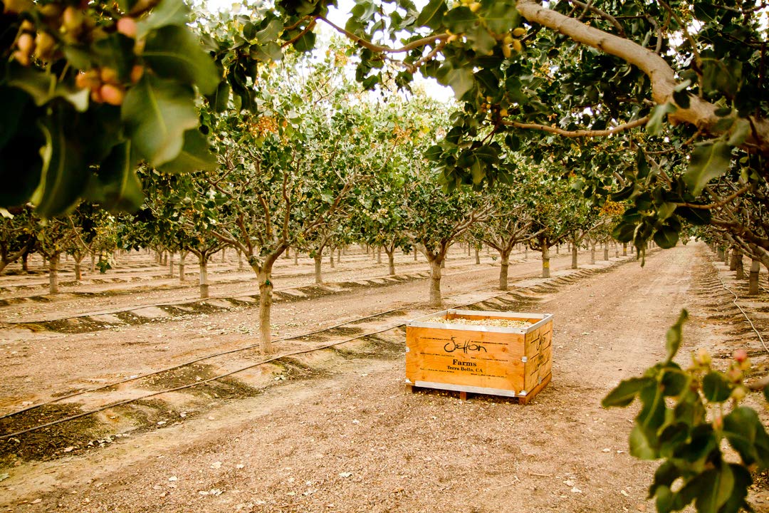 Setton Farms etiqueta con certificaciones y origen de California