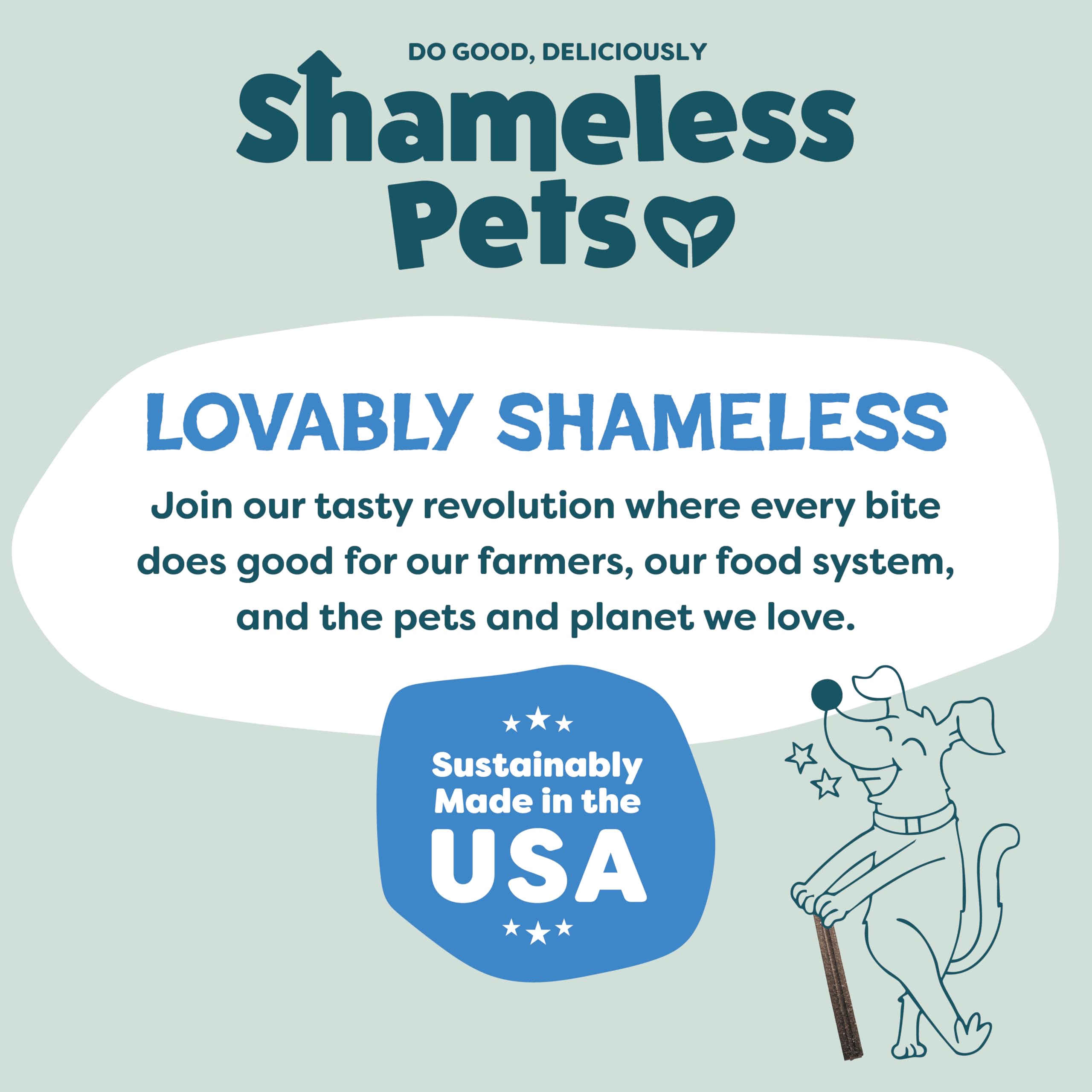Shameless Pets arándanos y hojas de menta ingredientes reales y naturales