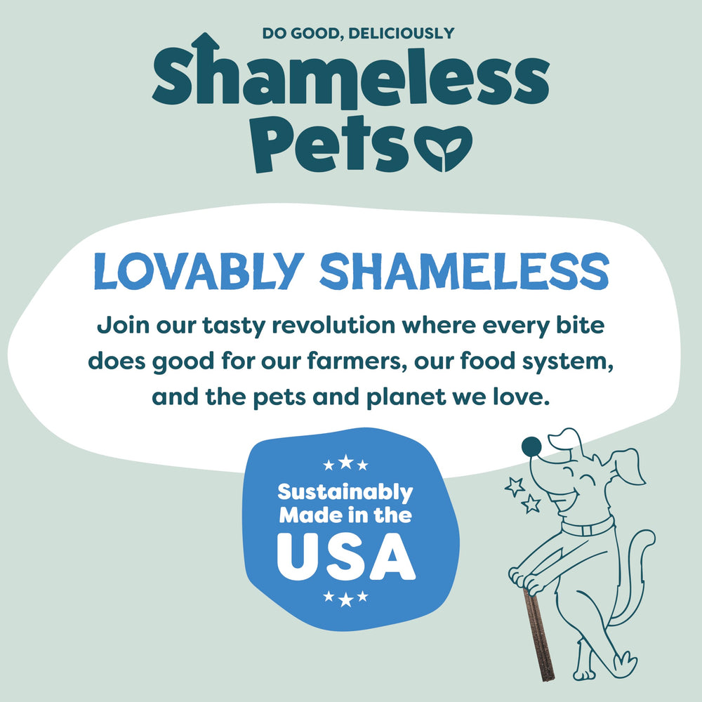 Shameless Pets arándanos y hojas de menta ingredientes reales y naturales