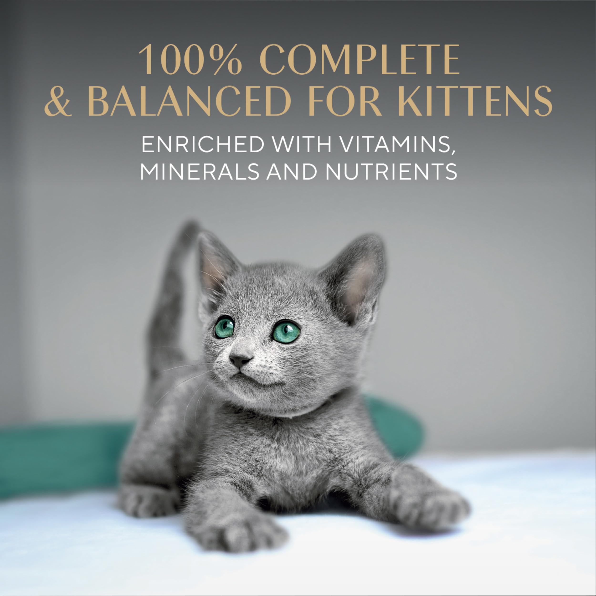 Sheba etiqueta con ingredientes y vitaminas indicadas para crecimiento