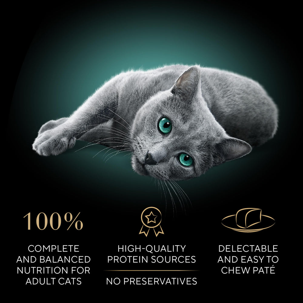 Sheba porción servida en plato lista para alimentar y estimular apetito