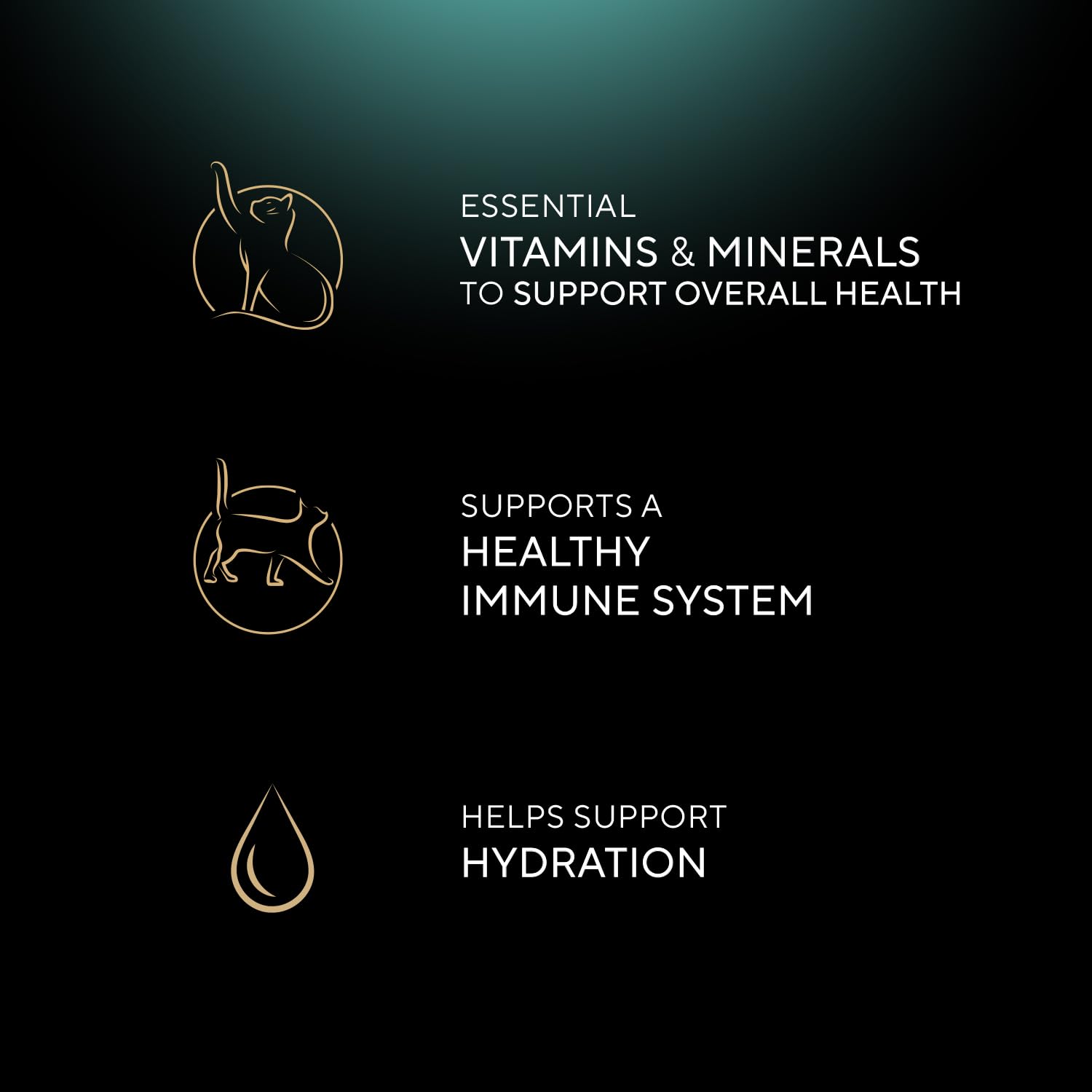 Sheba primer plano de textura de paté, aspecto apetitoso y húmedo