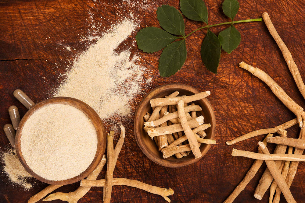 SHOPOSR raíces de ashwagandha cruda que evidencian origen indio