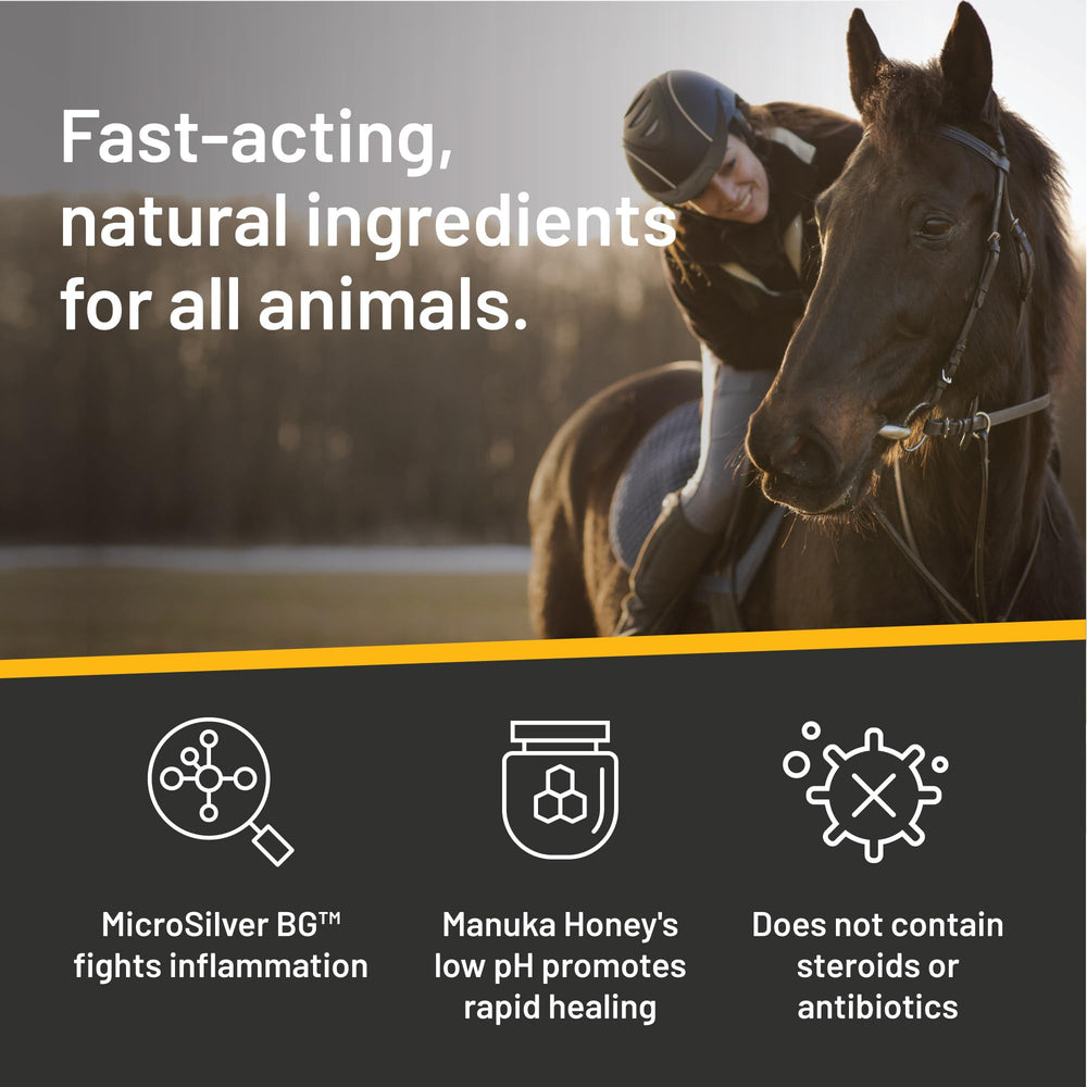 Silver Honey etiqueta legible con ingredientes principales y beneficios