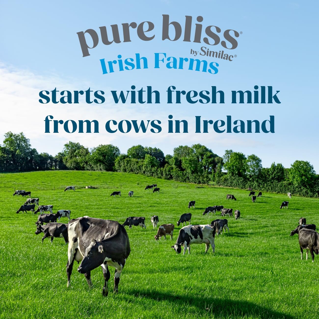 Similac Pure Bliss ingredientes y leche fresca de Irlanda resaltados