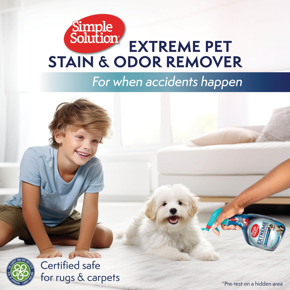Simple Solution aplicado en alfombra eliminando una mancha de mascota eficazmente