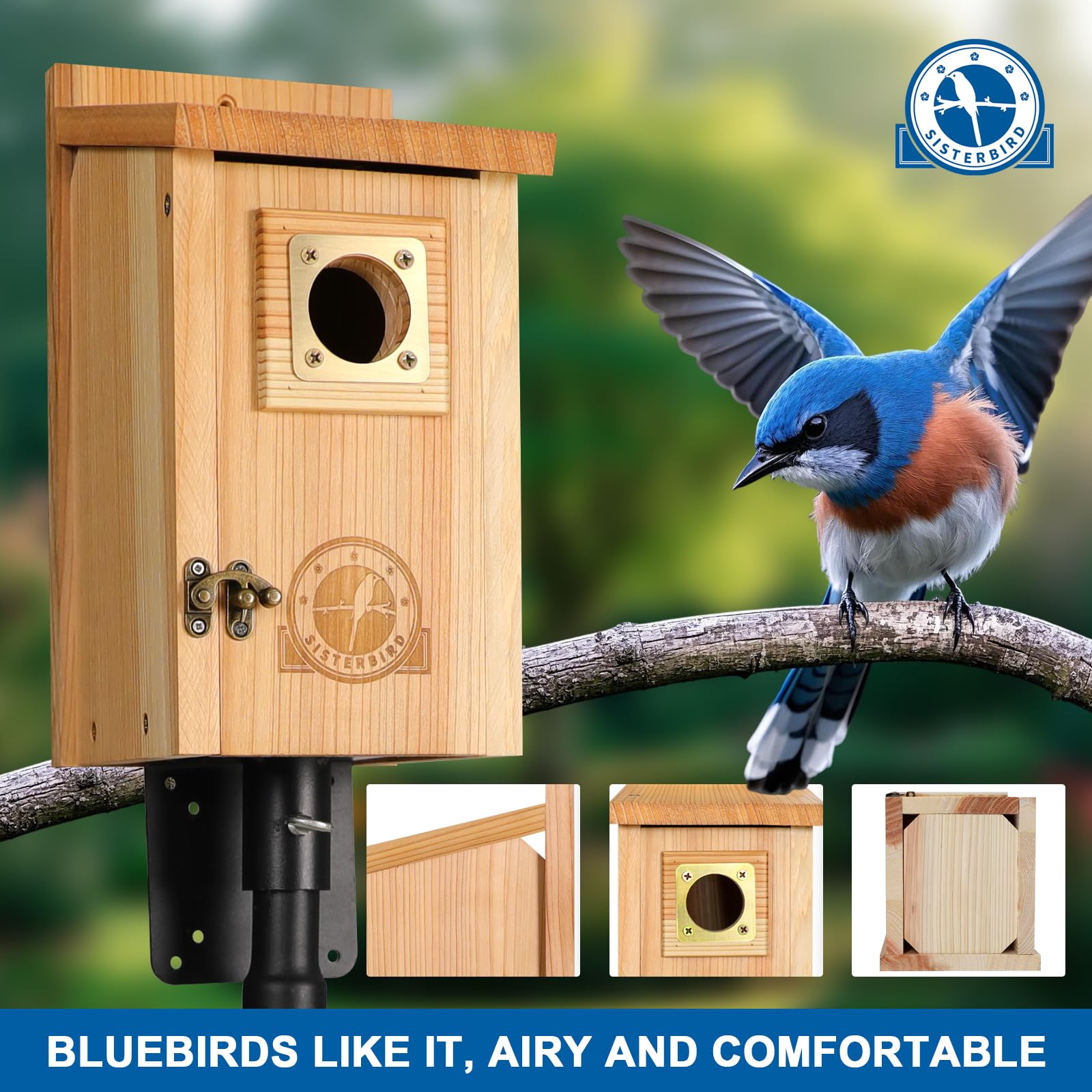 SISTERBIRD entrance with copper guard protecting nesting hole from predators
