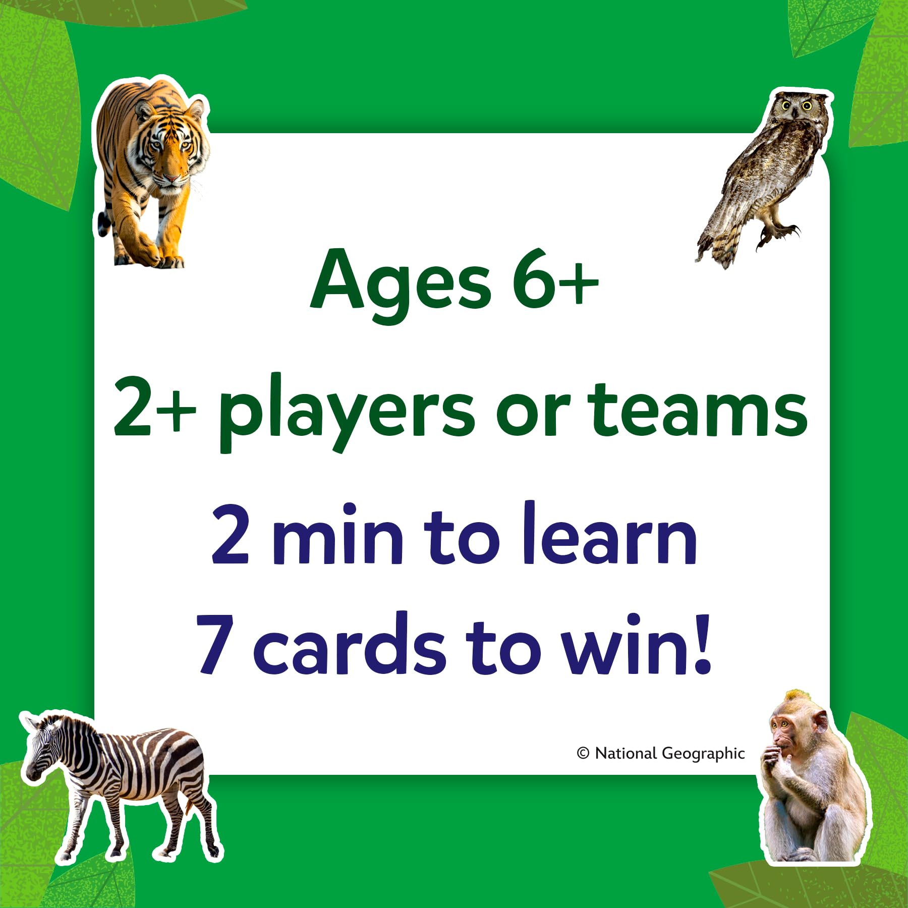 Skillmatics cartas pista cerca para estrategia y ventaja táctica