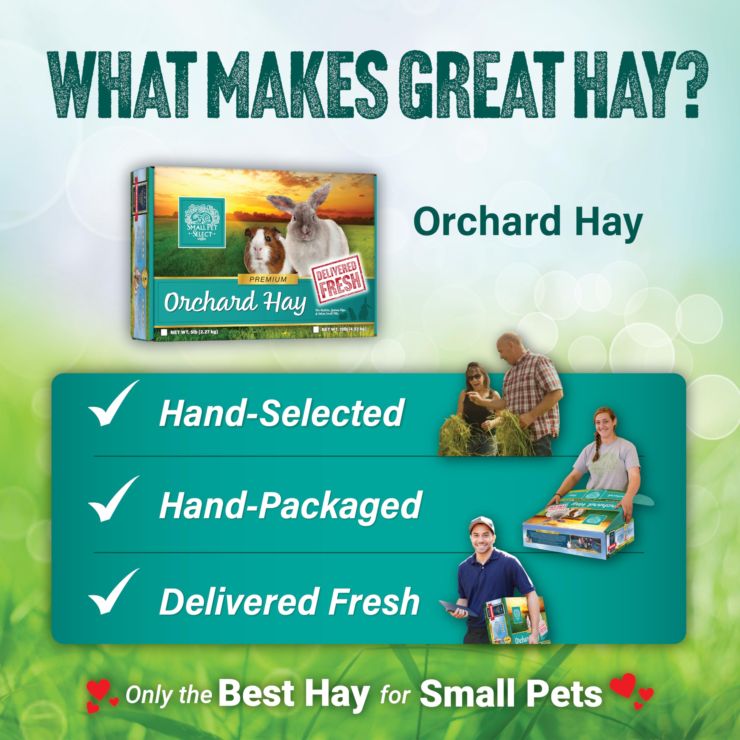 Small Pet Select heno en entorno con conejo, promueve salud digestiva
