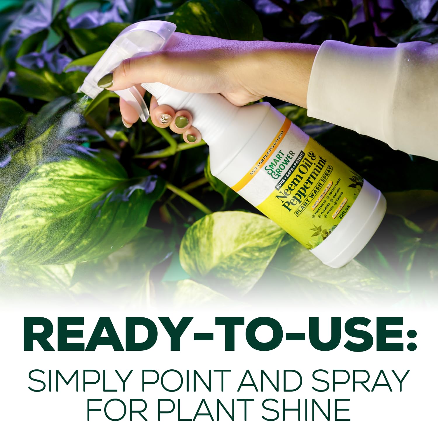 Smart Grower spray en planta de interior, limpieza y renovación de hojas
